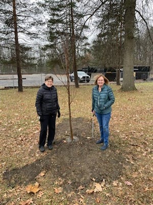 Pictured with the newly planted tree are Elaine Wickenheiser's daughter-in-law, Mary Ellen Wickenheiser (left), and Elaine's daughter, Margaret Sroka.