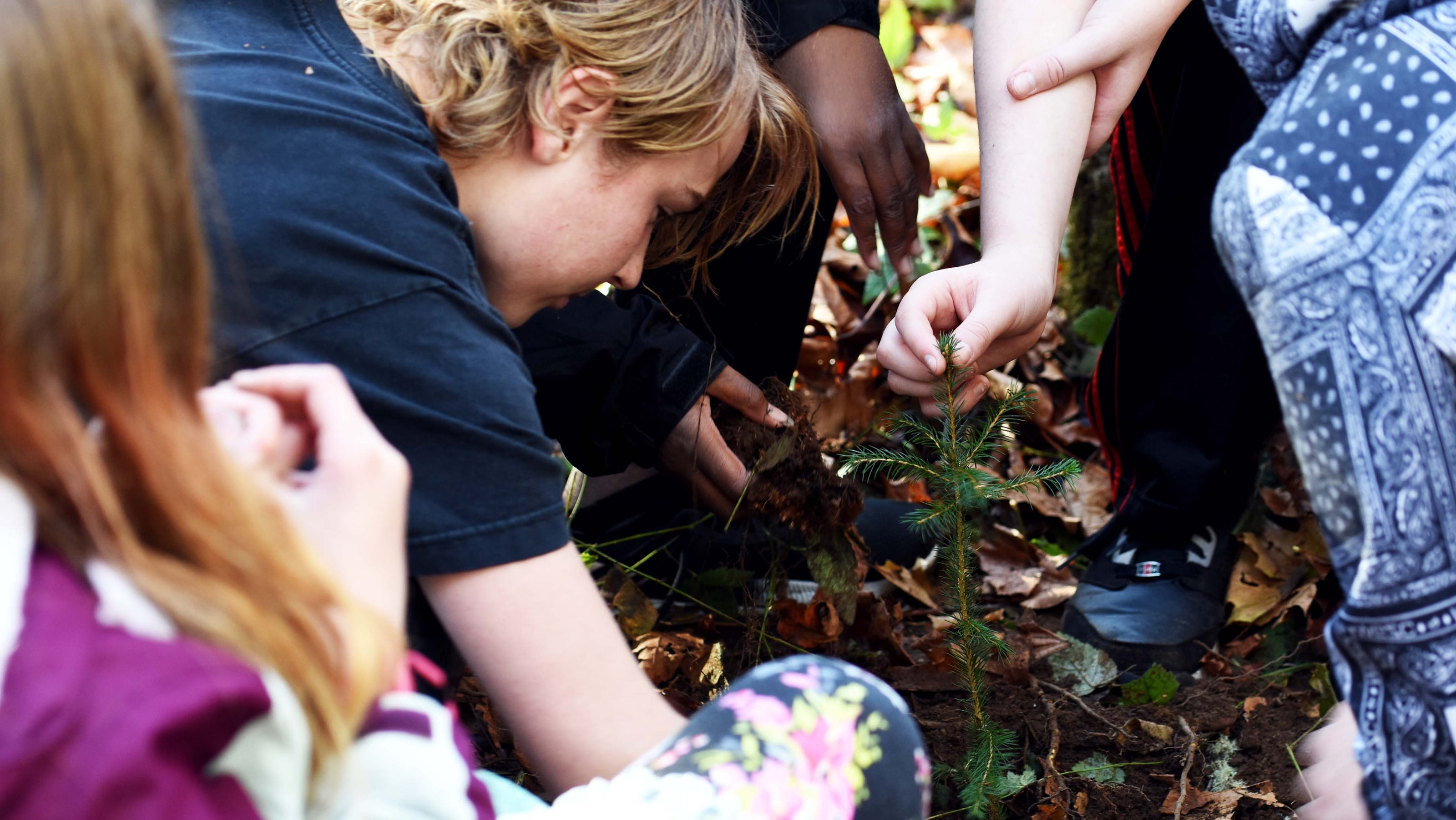 Creating the next generation of forest stewards
