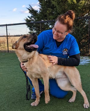 Michaela Schommer, the director of the Hutchinson Animal Shelter, takes Angel, a 2-year-old shepherd-chow blend, out to play. Angel's owners couldn't afford to keep her anymore.