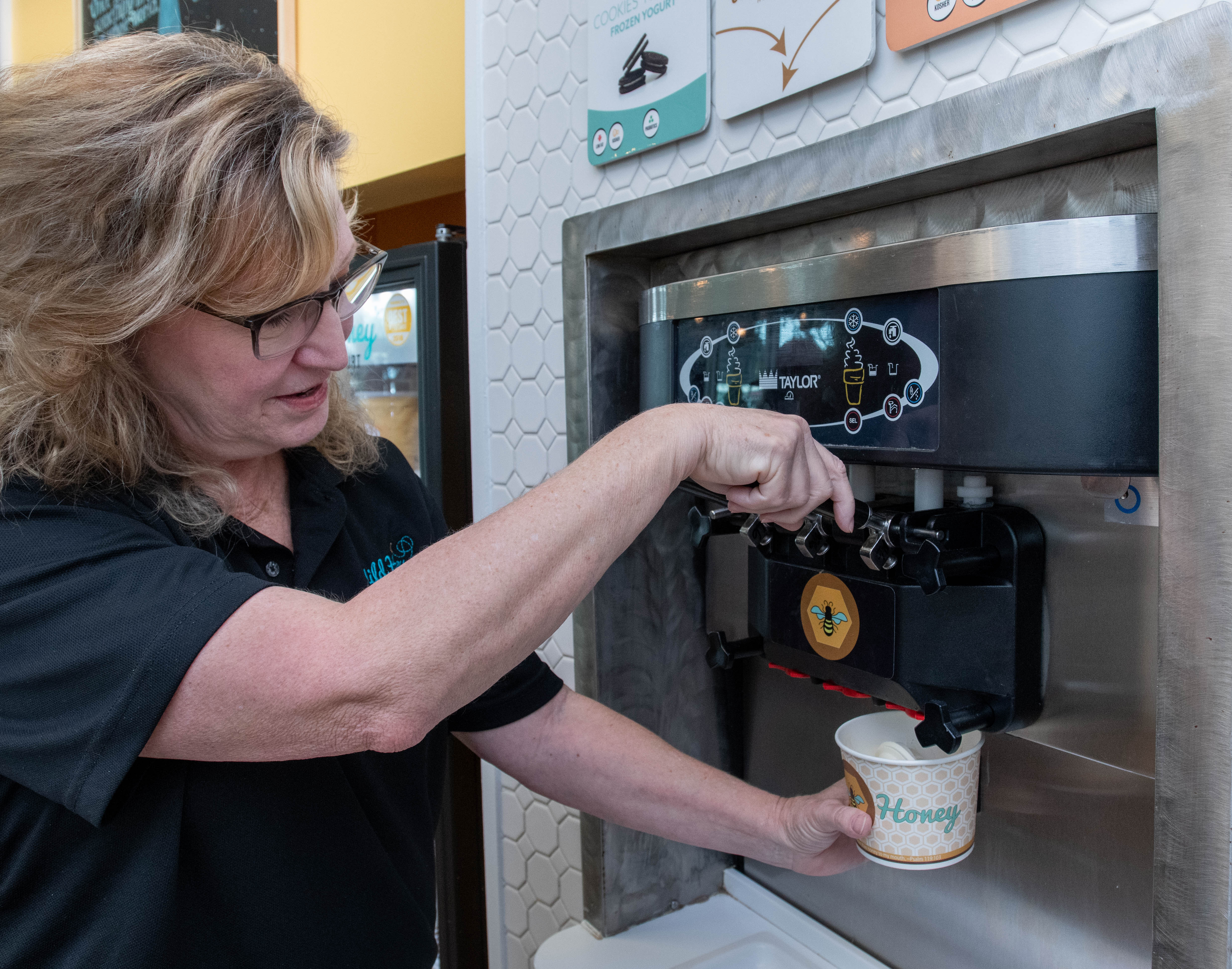 Wild Honey Frozen Yogurt plans to open second location in Pace