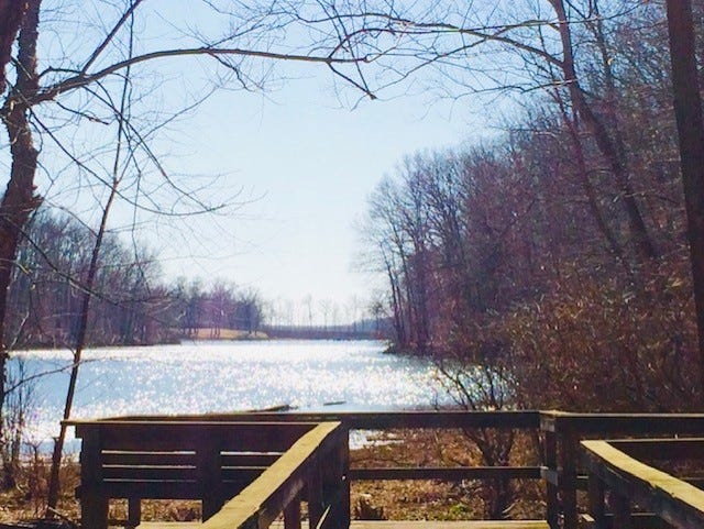 One of the wildlife viewing areas at Lake Lenape at Shakamak State Park.