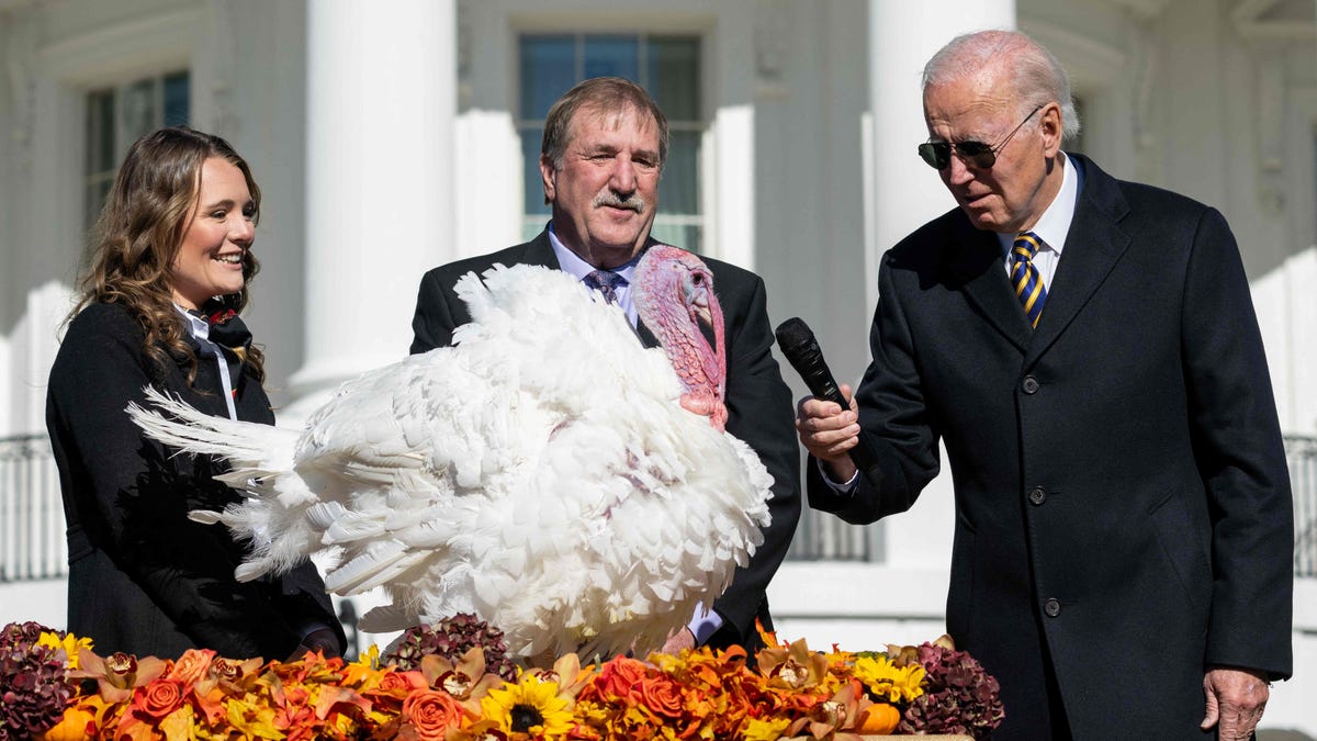 President Joe Biden holds the microphone up to Chocolate, the national Thanksgiving turkey, during a pardoning ceremony at the White House in Washington, Monday, Nov. 21, 2022.