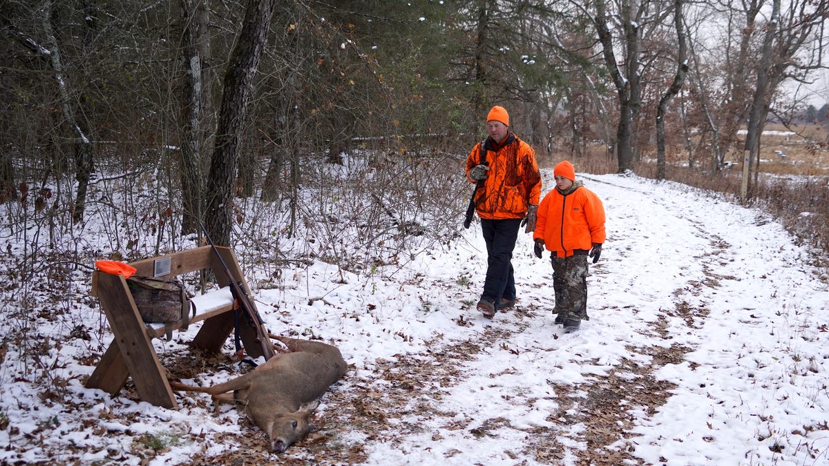 What to know about the Wisconsin gun deer hunting season: Dates, licenses, regulations What to know about the Wisconsin gun deer hunting season: Dates, licenses, regulations