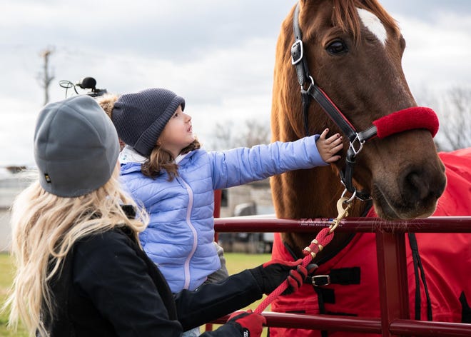 Savannah Wood, 3, of Doylestown greets Hank the Horse at Broad Commons Park in Doylestown Borough during the visit of the 1,400-pound horse Tennessee Walker, Monday, Nov. 28, 2022. Hank, who is a brand ambassador for the nonprofit , For Hank's Sake, stopped in Doylestown on its way to New York's Times Square for Giving Tuesday.