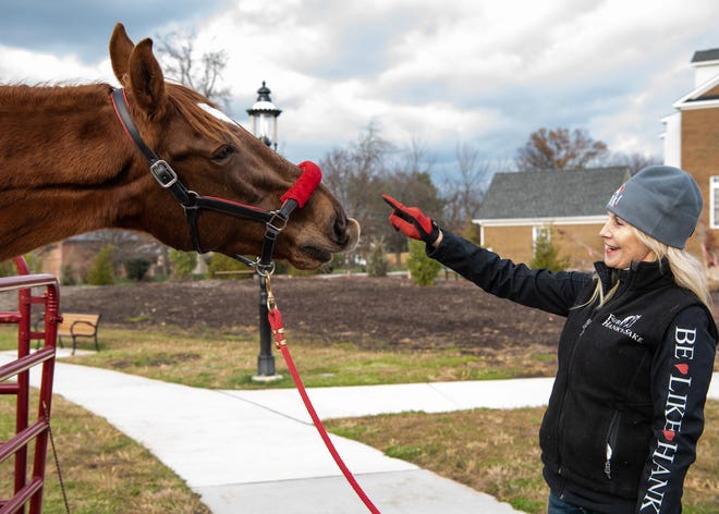 Hank, a 1,400-pound Tennessee Walker horse, greets his owner, Tammi Jo Regan, during their visit to Broad Commons Park in Doylestown Borough, Monday, Nov. 28, 2022. Hank, who is the brand ambassador for the nonprofit organization, For Hank's Sake , stopped in Doylestown on the way to New York's Times Square for Giving Tuesday.