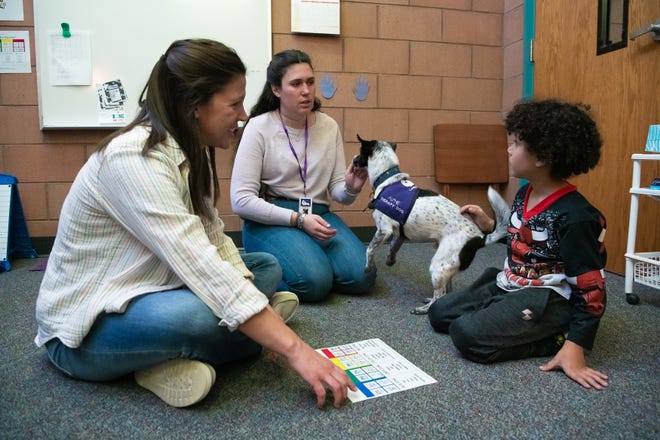 Lexis Goodall, terapeuta ocupacional del distrito escolar de Bodree, a la izquierda, se sienta con la propietaria y voluntaria Sally Gallup y su perro de terapia Alfie, mientras una estudiante de Laurel Elementary participa en una sesión de terapia ocupacional en la escuela el 28 de noviembre en Fort Collins. Gallup y Alfie son voluntarios en Caring Canines, una organización de terapia canina que busca equipos de dueños de perros voluntarios en Fort Collins.