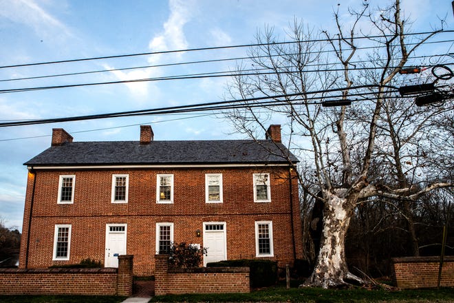 The 300-year-old Witness Tree stands in front of the Hale-Byrnes house that George Washington held a meeting at in 1777 on Stanton-Christiana Road in Newark, Del., Tuesday, Nov. 29, 2022. The Witness Tree might soon tip over or be removed and a commemorative painting of it will be unveiled on-site on Saturday, Dec. 3, 2022.