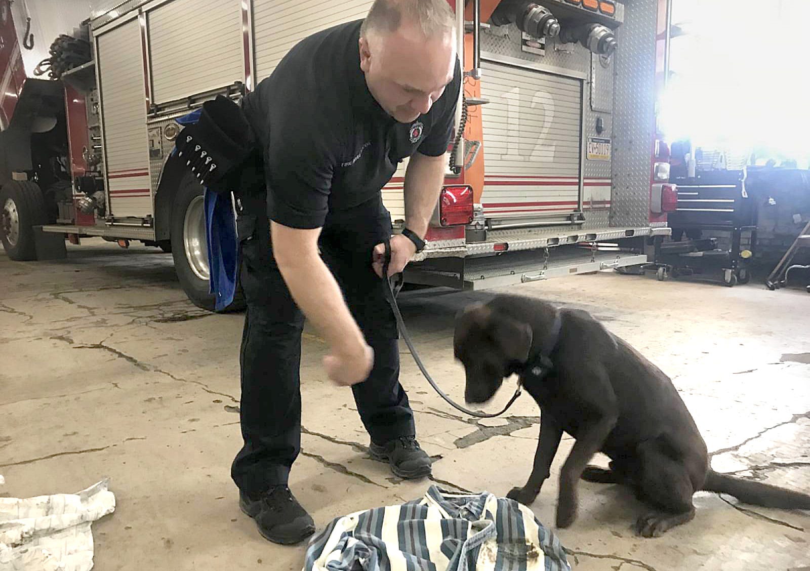 Horus, an accelerant-sniffing Labrador retriever, joins Erie Bureau of Fire