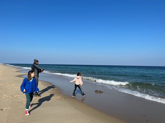 Eric Butterbaugh and his daughters, Elena, 10, and Alice, 8, along with his wife, Jess, encountered a massive blue lobster on an ocean-facing beach in Truro while visiting the Cape over the Thanksgiving holiday. The Pennsylvania family ended up helping it return to the ocean