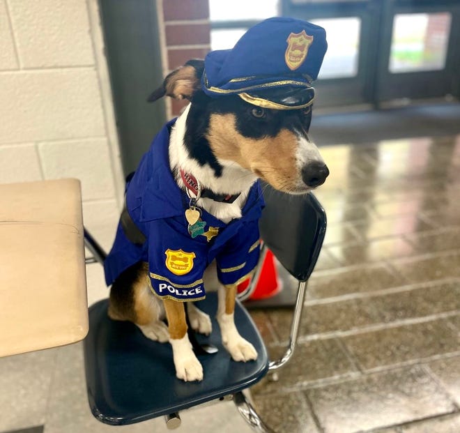 Opry, a mixed-breed rescue dog from Texas, is the Hingham Police department's first comfort dog.