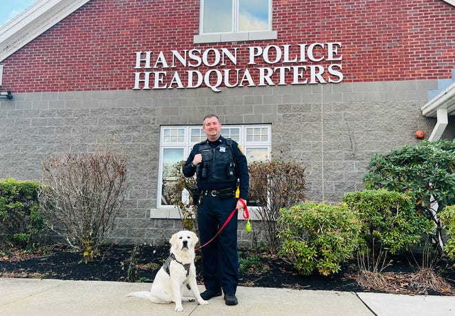 Lucy, a 10-month-old cream golden retriever, with her trainer, police officer Derek Harrington.