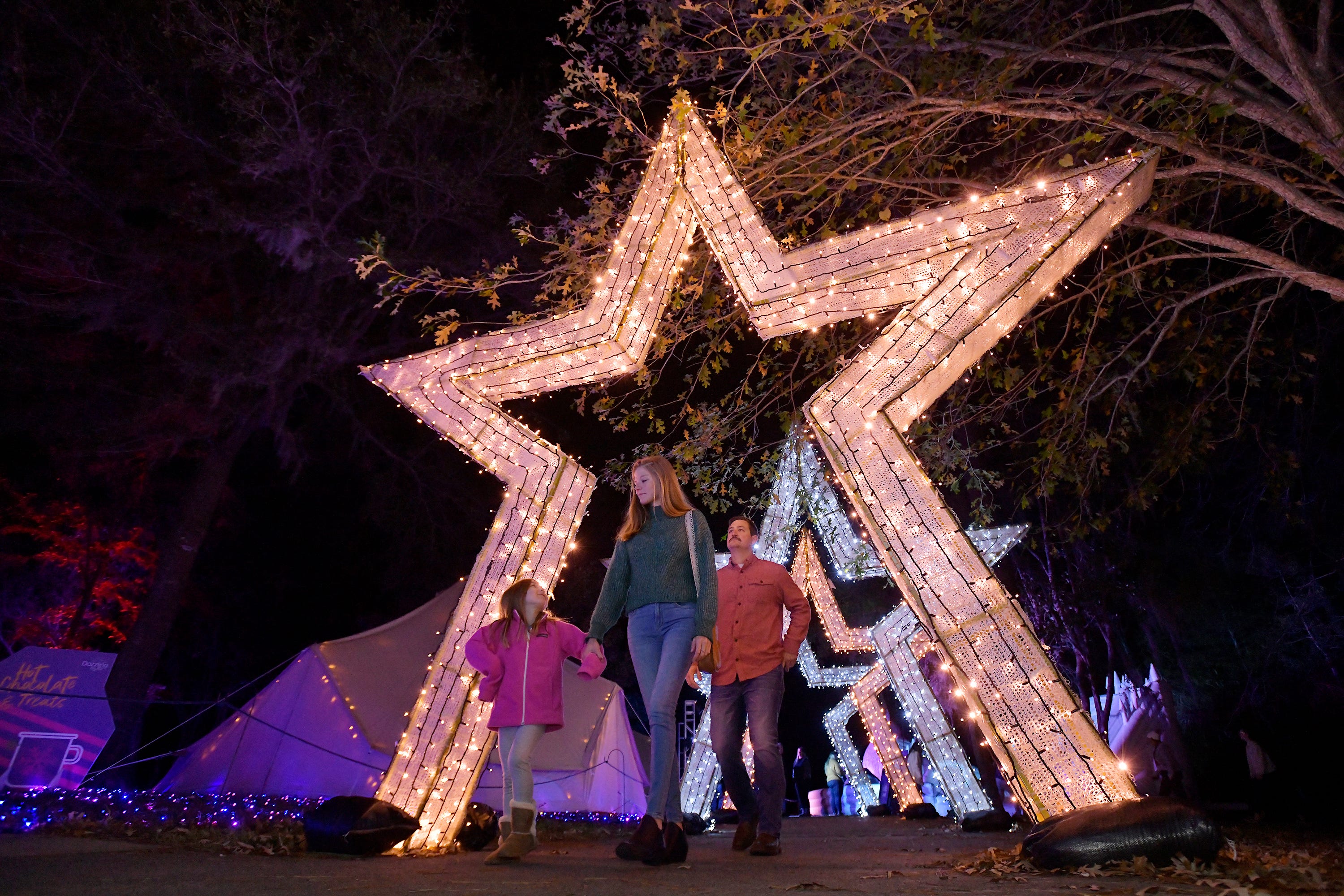 Dazzling Nights Jacksonville More lights, live show at holiday event