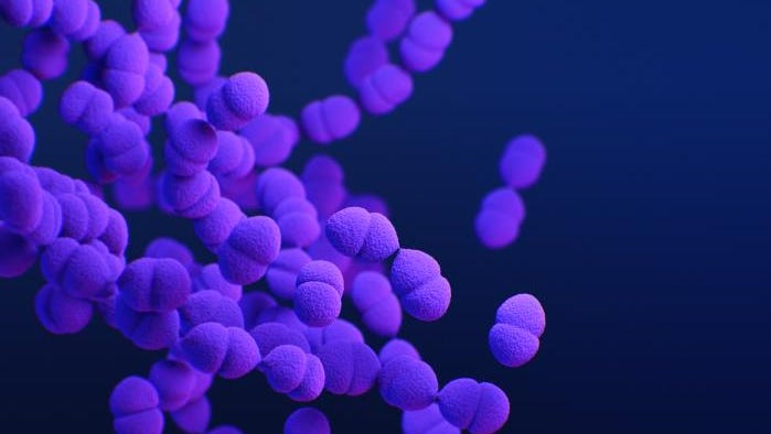 Experts explains how Strep A can affect children, adults