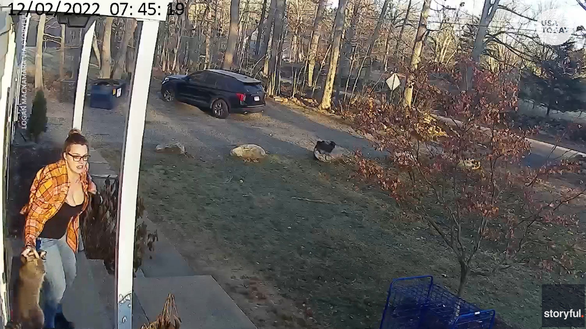 Video: Connecticut mother saves daughter from raccoon attack Video: Connecticut mother saves daughter from raccoon attack