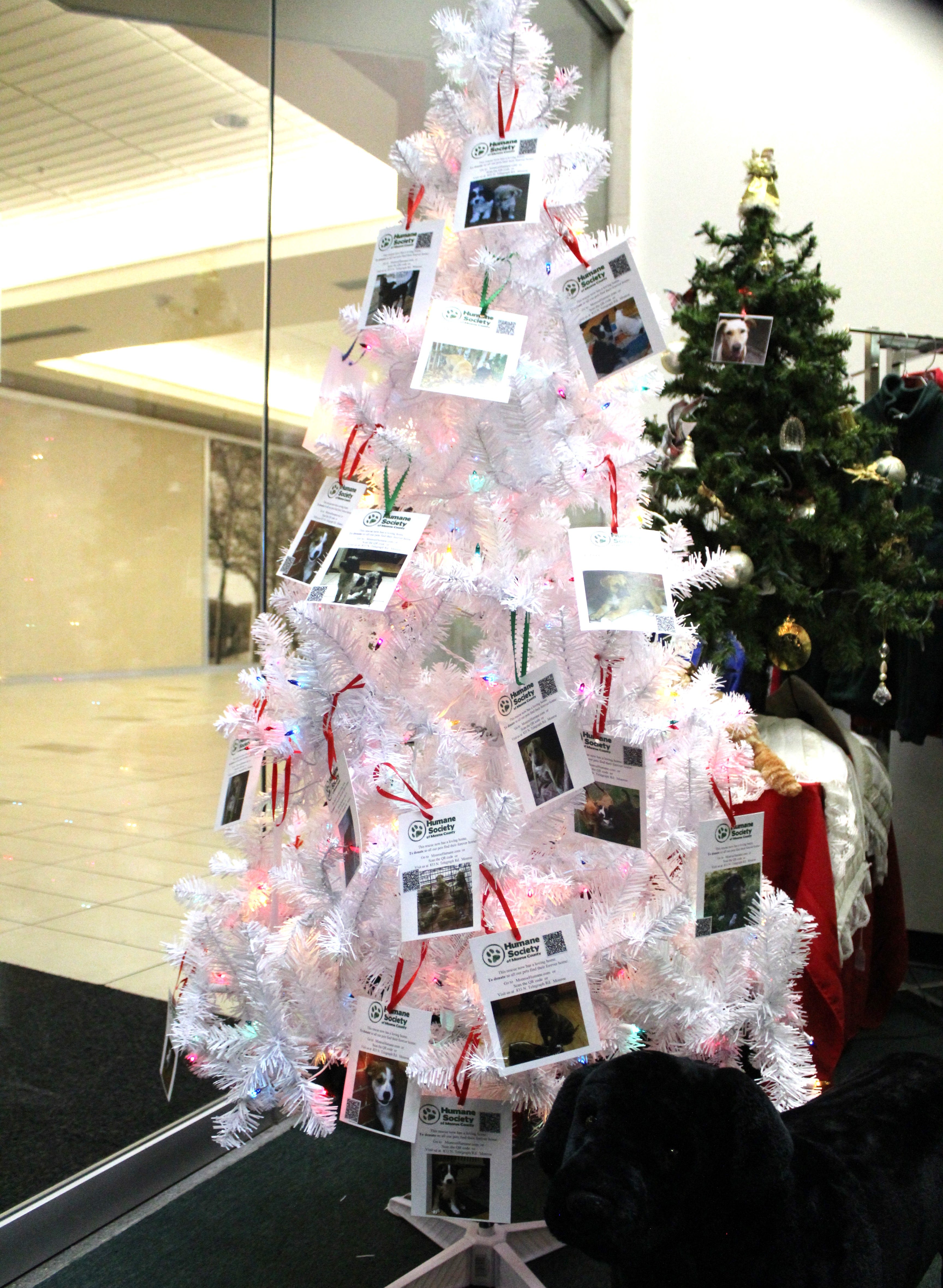 Christmas wishes displayed for Humane Society of Monroe