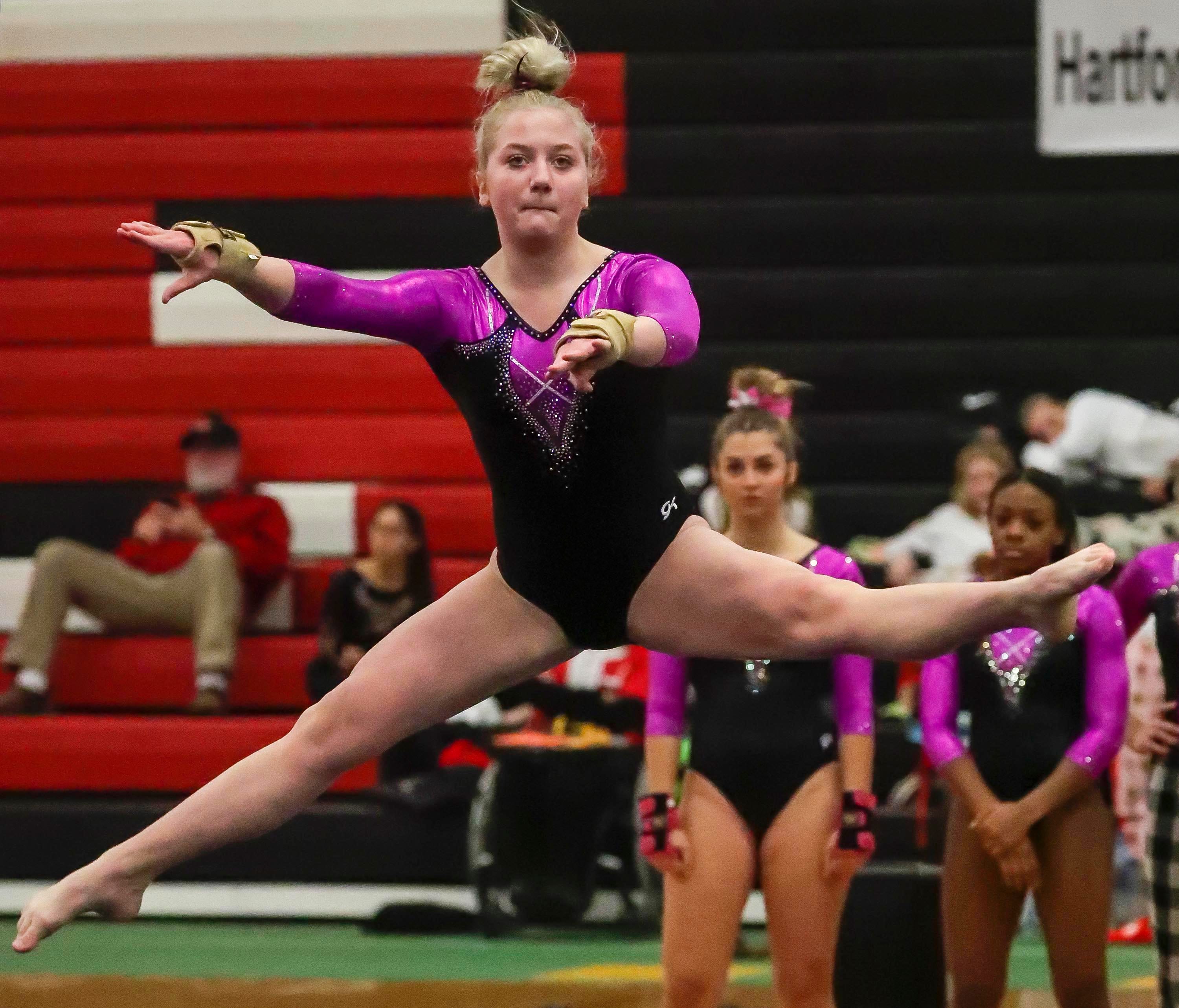 Here are the teams and individual qualifiers for the WIAA state