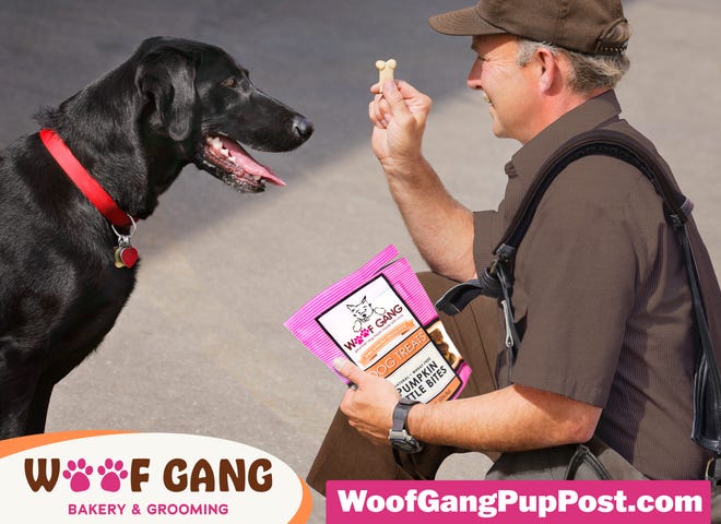 A mailman teaches a dog to wait for a treat as part of the Woof Gang Bakery & Grooming's holiday treats giveaway.