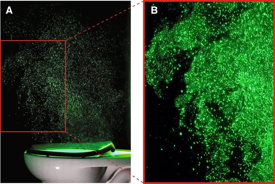 A powerful green laser helps visualize the aerosol plumes from a toilet when it's being flushed.