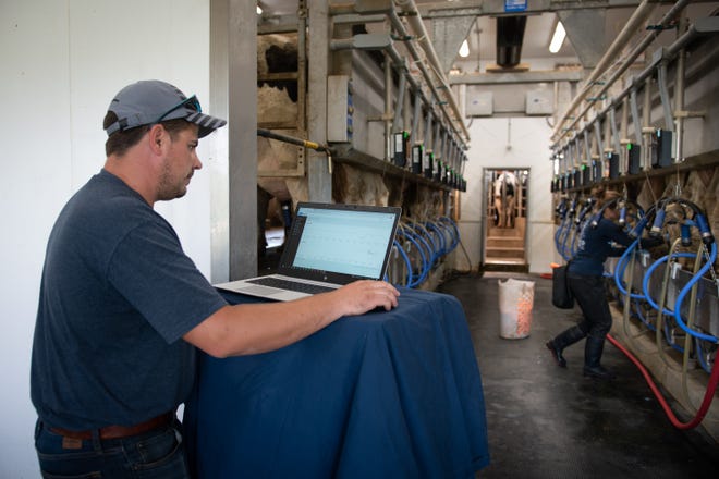 Accurate parlor data enable Austin and Eileen Webster, Greenleaf, Wisconsin, to get a better handle on animal performance, as well as develop timely action plans for individual cows as needed.