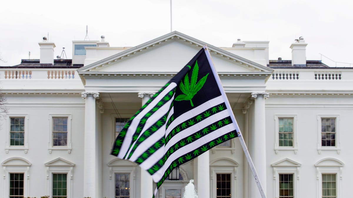 April 2, 2022: A demonstrator waves a flag with marijuana leaves depicted on it during a protest calling for the legalization of marijuana, outside of the White House in Washington D.C.. President Joe Biden is pardoning thousands of Americans convicted of 