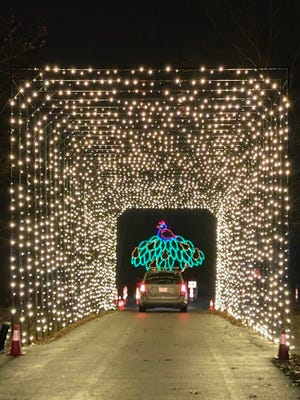 The view as you drive through the tunnels of lights at the Butch Bando Fantasy of Lights.