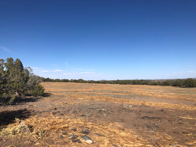 Grassland restoration projects through NRCS conservation programs have helped ranchers control juniper encroachment, and allow pasture to grow again in the rangelands.