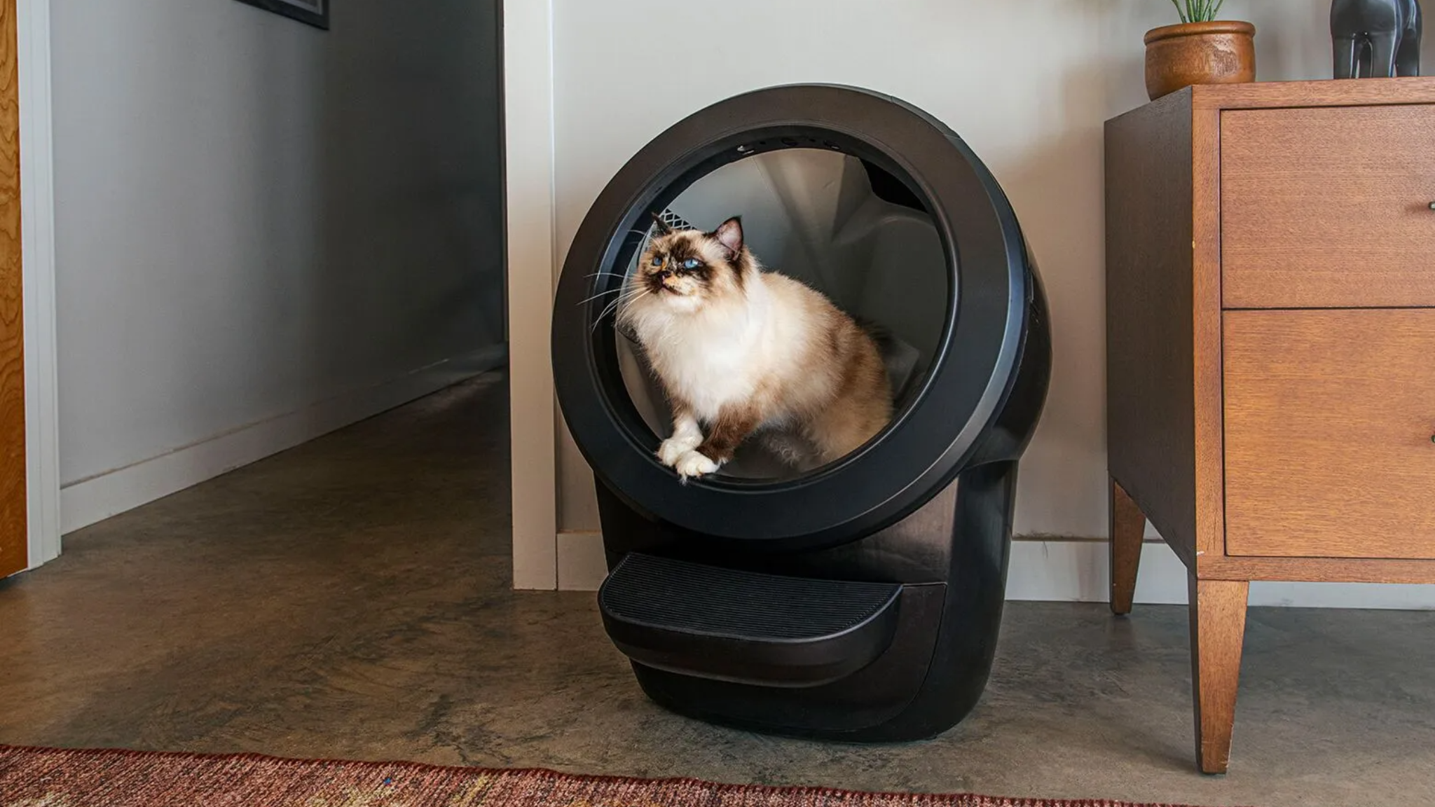 Get the robotic litterbox LitterRobot—now 749 ahead of Christmas