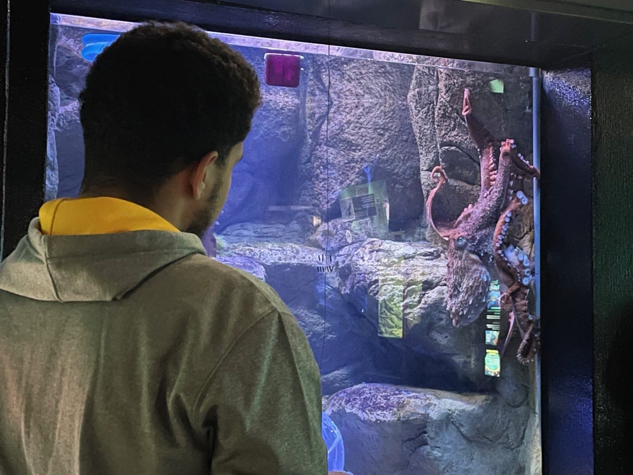 Carroll University works with Milwaukee County Zoo in degree program Carroll University works with Milwaukee County Zoo in degree program