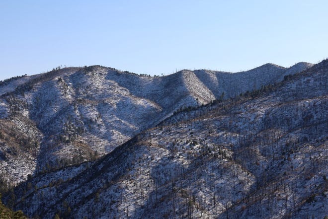 The Gila National Forest on Dec. 15, 2022.