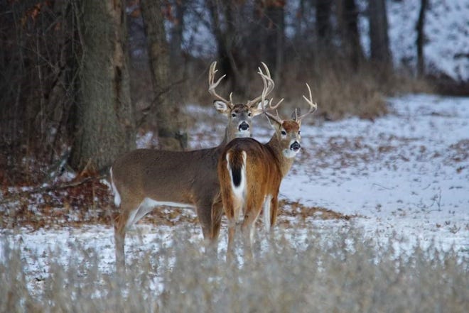 Missouri hunters harvested 8,599 deer during the alternative methods portion of the firearms deer season.