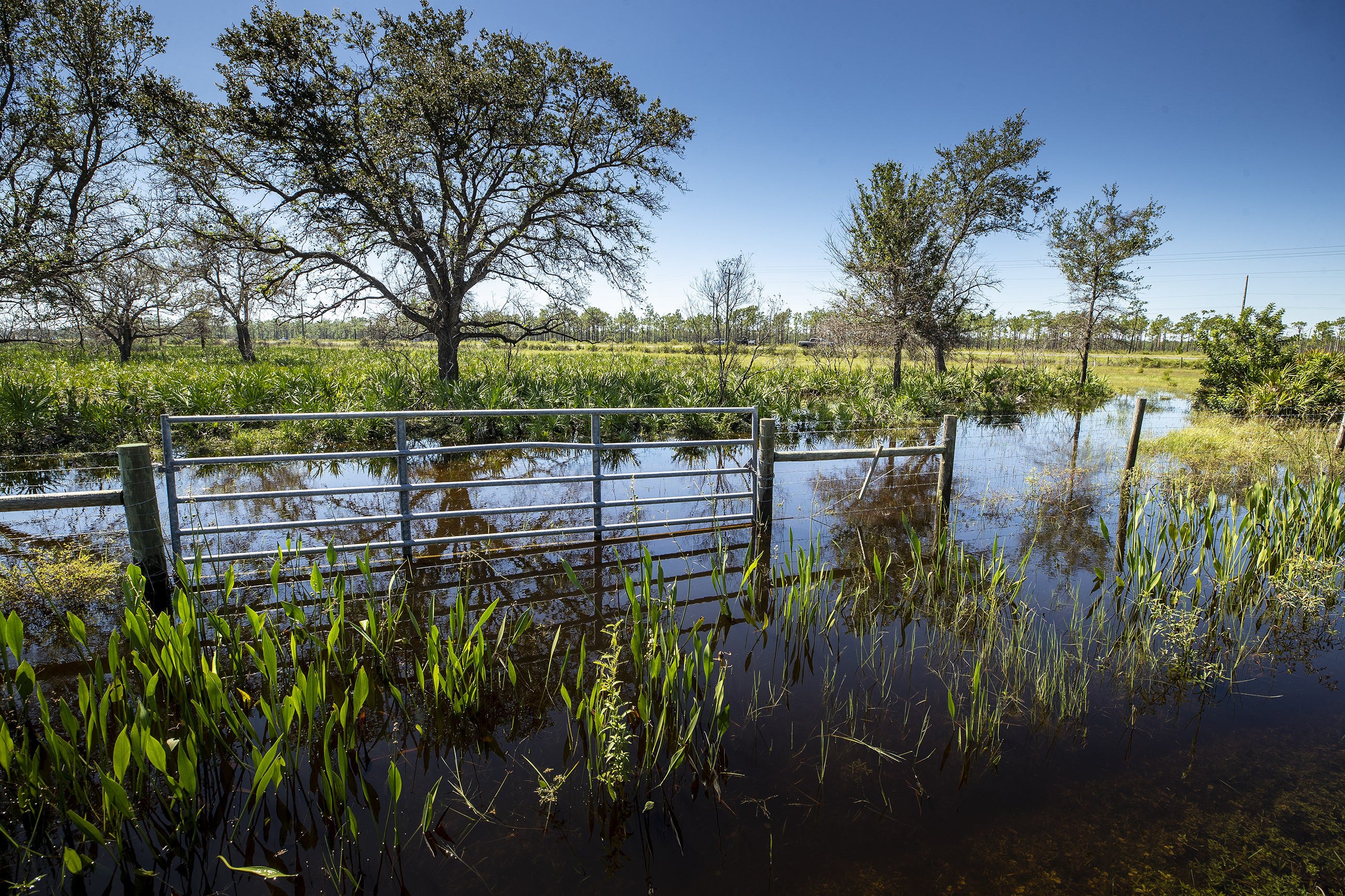 Flood waters creep up on Kissimmee Shores Road near Hwy 60 after Hurricane Ian east of Lake Wales, Friday September 30, 2022.