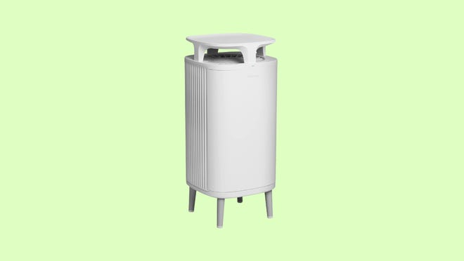 An air purifier can help clear your home of contaminated air particles.