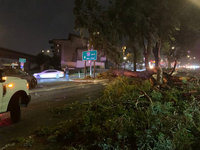 A eucalyptus tree in a street median that fell across a street in San Francisco at around 5:30 pm Wednesday, Jan. 4, 2023, during a major storm that pummeled the Bay area. The tree, near the corner of Bosworth and Diamond Streets, blocked the roadway. Emergency crews on the scene said no one was hurt when the tree fell during high winds.