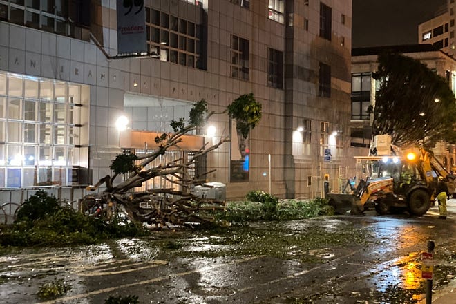 A crew works to remove fallen trees outside an entrance to the main public library in San Francisco. Damaging winds and heavy rains in California have knocked out power to tens of thousands, caused flash flooding, and contributed to the deaths of at least two people.
