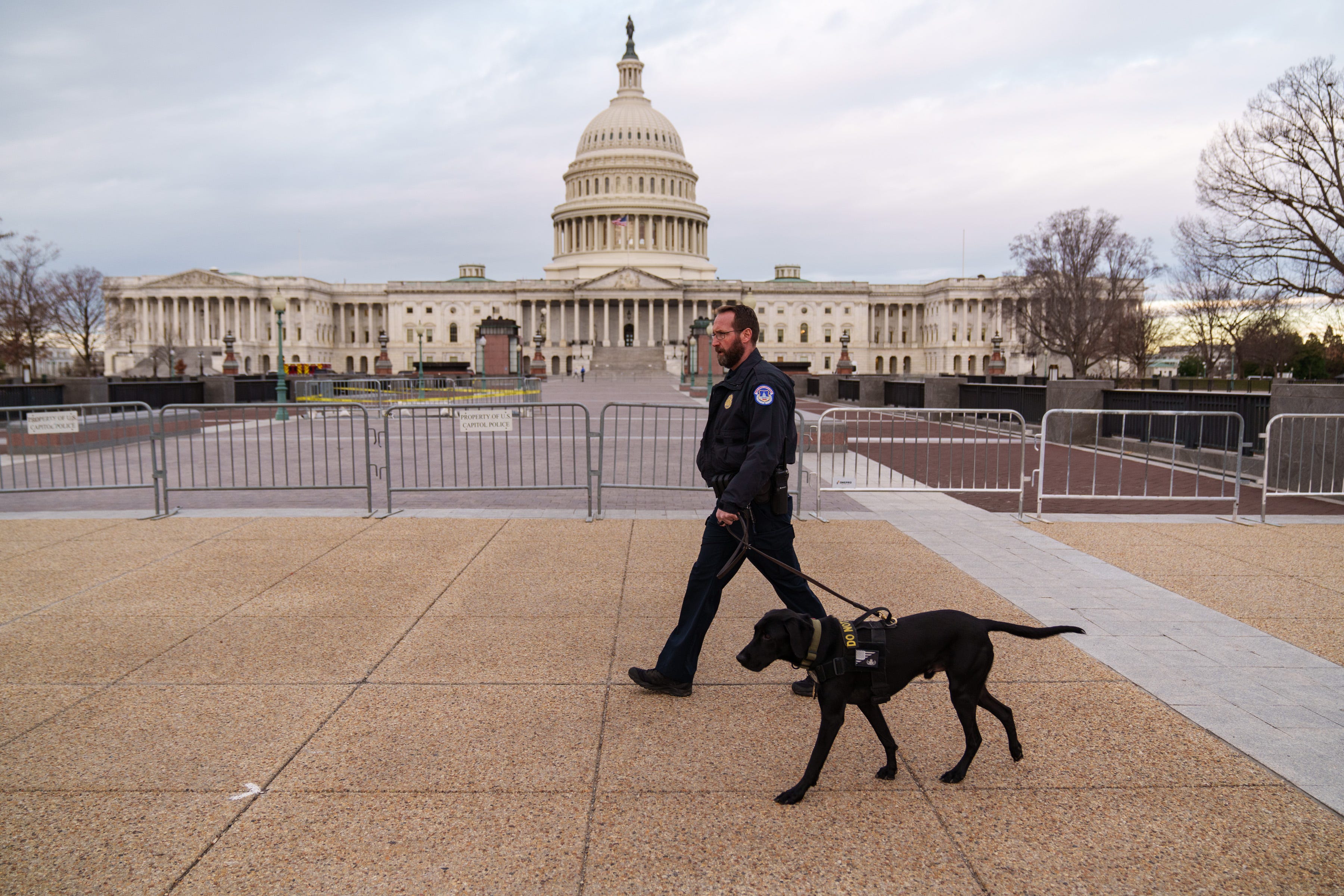 Suspected police impersonator with knives, smoke grenade arrested outside US Capitol, police say