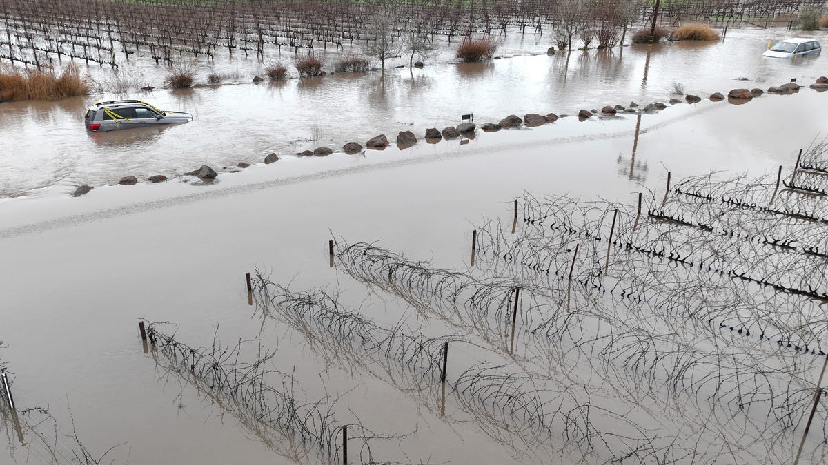 In an aerial view, cars are submerged in floodwater after heavy rain moved through the area on January 9, 2023 in Windsor, California. Storms are lined up over the Pacific Ocean and are expected to bring more rain and wind through the end of the week.