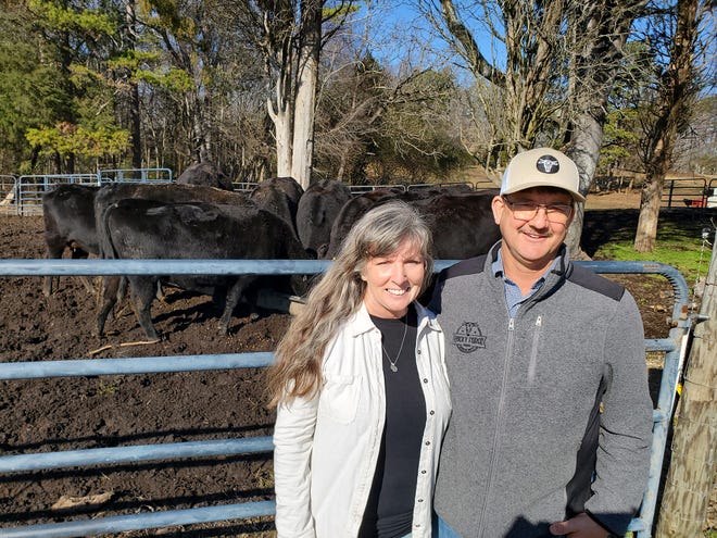 Jodi and Michael Jones are the only American wagyu cattle farmers in Davidson County. The couple uses all-natural, sustainable farming practices at their Rocky Forge Farm in Churchland to feed and raise their cows and steers before taking them to market at 27 months old.