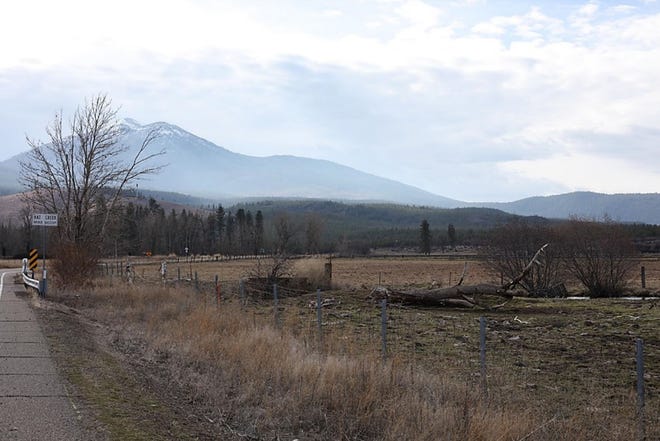 A view to the southwest from Cassel Road, east of Highway 89 and Hat Creek. Burney Mountain is visible in the left side of the view. The project would be 12 miles away from this location, according to a Fountain Wind consultant.