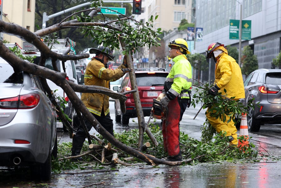 San Francisco firefighters remove a large tree branch that fell onto a parked car due to high winds on Jan. 10, 2023 in San Francisco