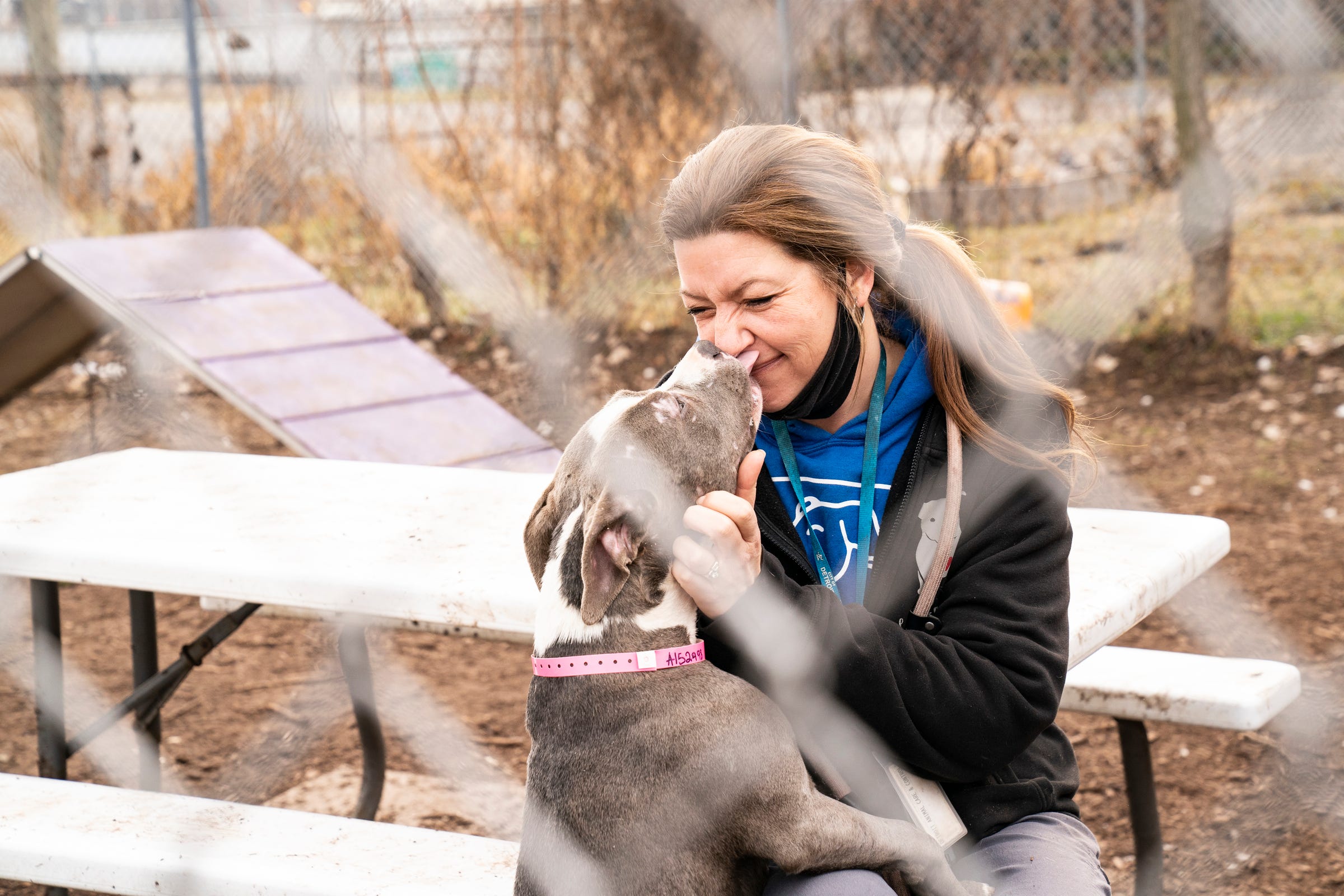 Vet needed at Detroit animal shelter, volunteers call for help
