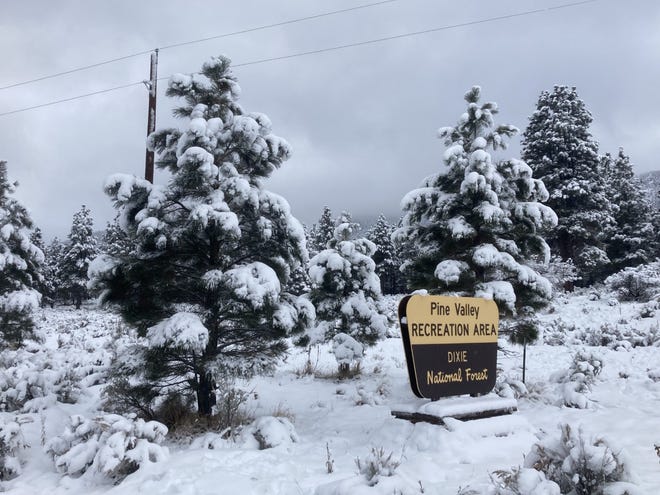 Snow blanketed the trees last week at the Pine Valley Recreation Area north of St. George. Heavy winter storms have left southern Utah with above-average snowpack in the mountains and plenty of rain-fed moisture in the valleys. Forecasts say more precipitation is coming this weekend.