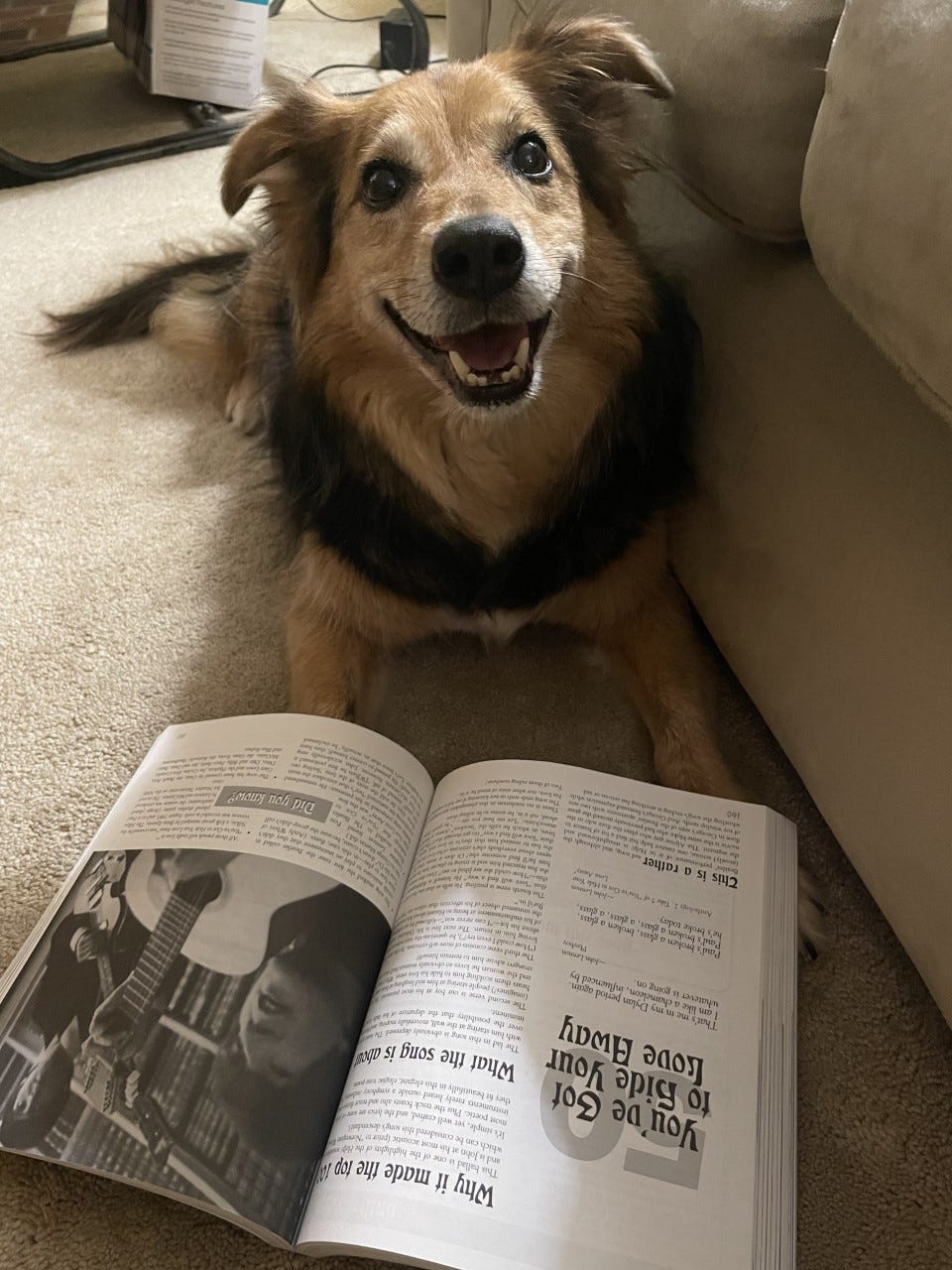 Do dogs smile? Absolutely. 