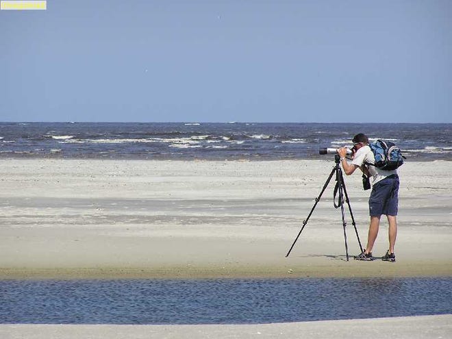 Brandon Noel, partnering shorebird researcher, surveying shorebirds on Little Saint Simons Island.