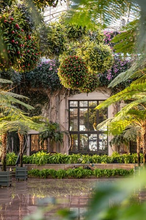 Beauty and splendor will decorate Longwood Gardens, even in the cold months, with its annual Winter Wonder display through Sunday, March 26, near Kennett Square, Pa.