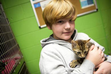 Oak Ridge Animal Shelter reopens without restrictions after two years