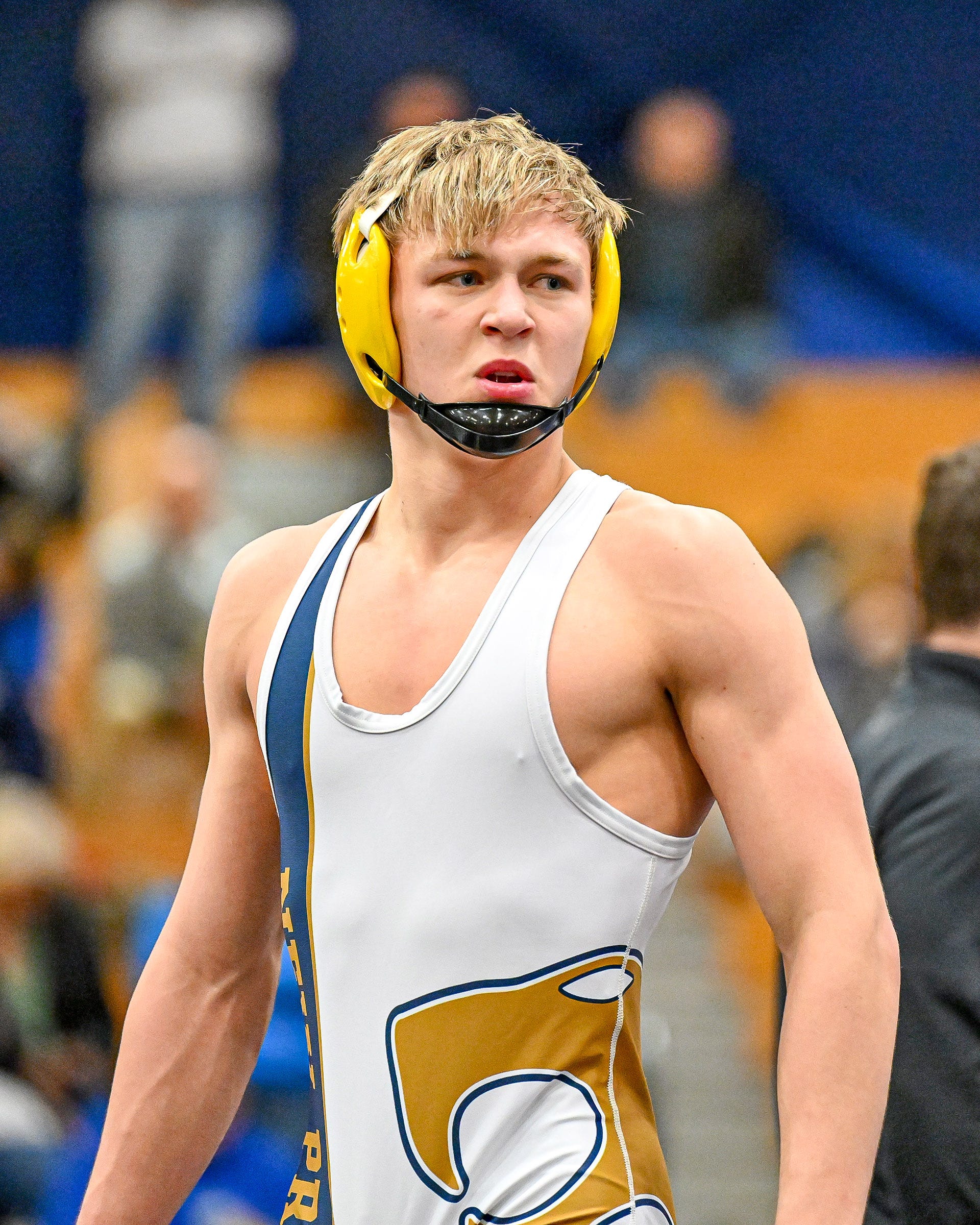 IHSAA High school wrestling sectional roundup