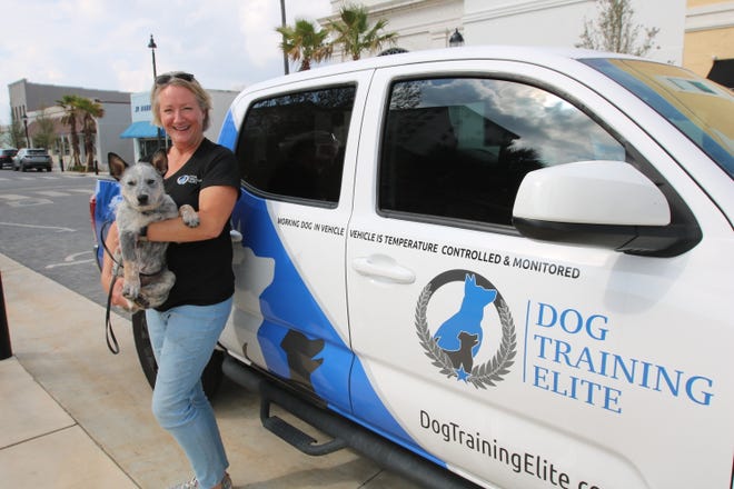Panama City dog trainer to open new Dog Training Elite in Panhandle