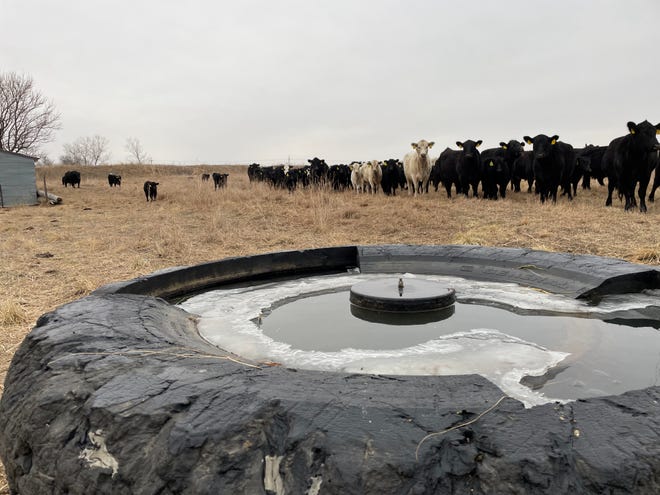 Strategies to keep your water sources open and clear to drink to optimize your cattle’s performance during winter.