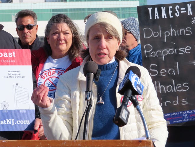 Cindy Zipf, executive director of the Clean Ocean Action environmental group, speaks at a press conference on the beach in Atlantic City, N.J., on Monday, Jan. 9, 2023, where a large dead whale was buried over the weekend.