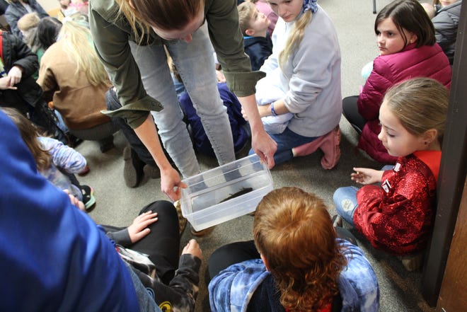 Naturalist Chelsea Gottfried shows off a axolotl to kids.